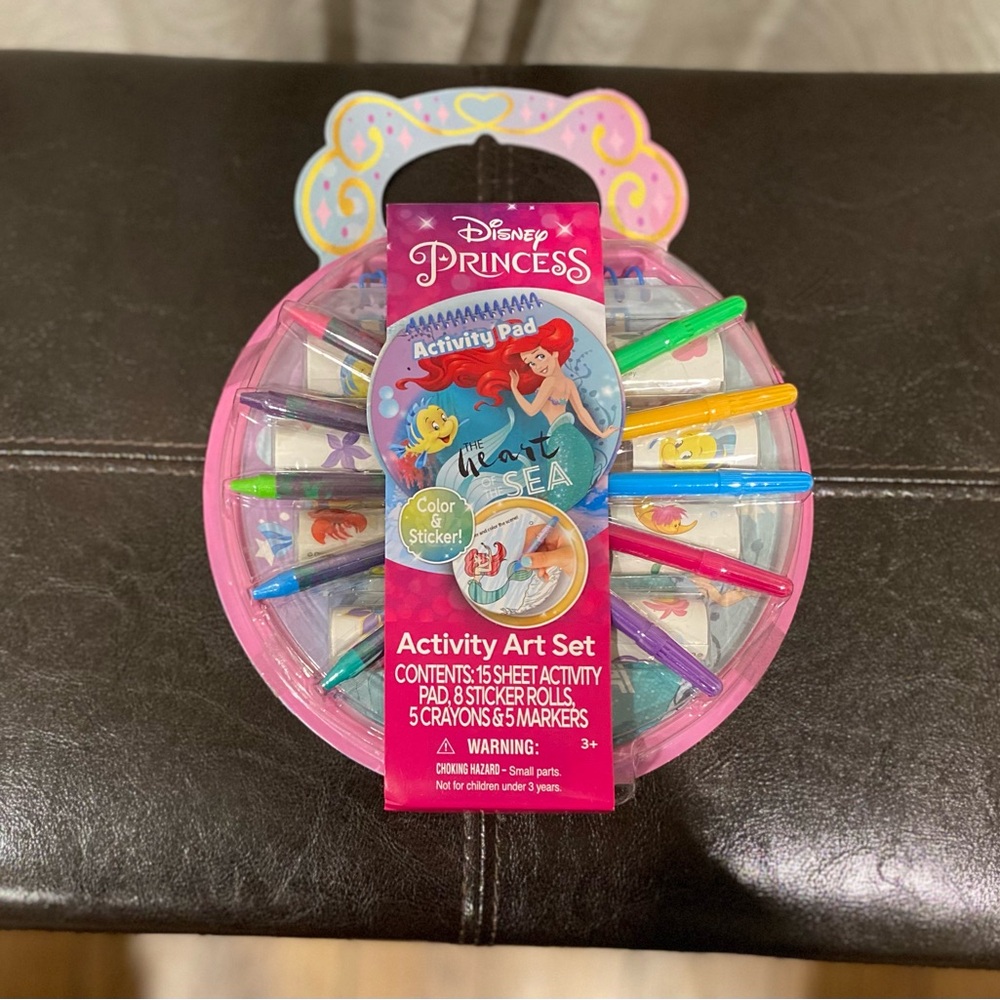 Disney Princess Activity Art Set